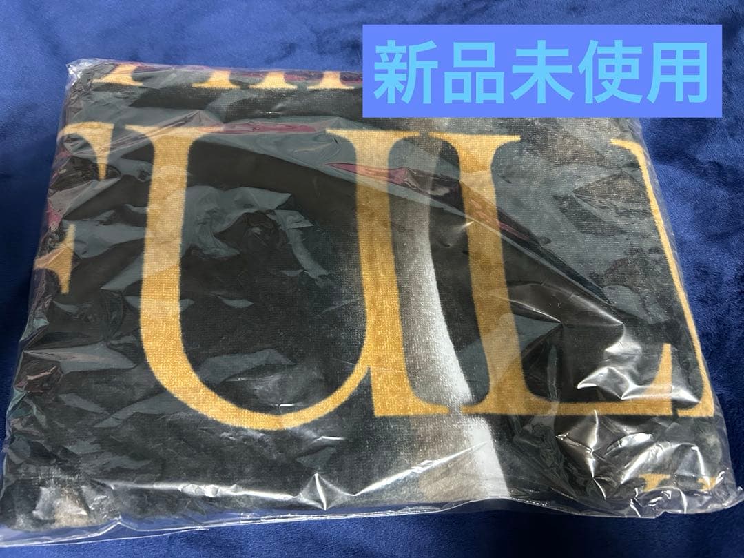 HIROOMI TOSAKA FULL MOON ビーチタオル