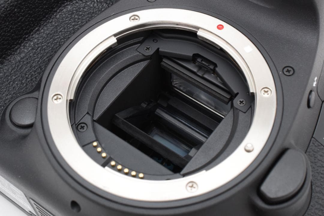 キャノン　Canon EOS 7D MarkII ボディ ≪S数2402回≫