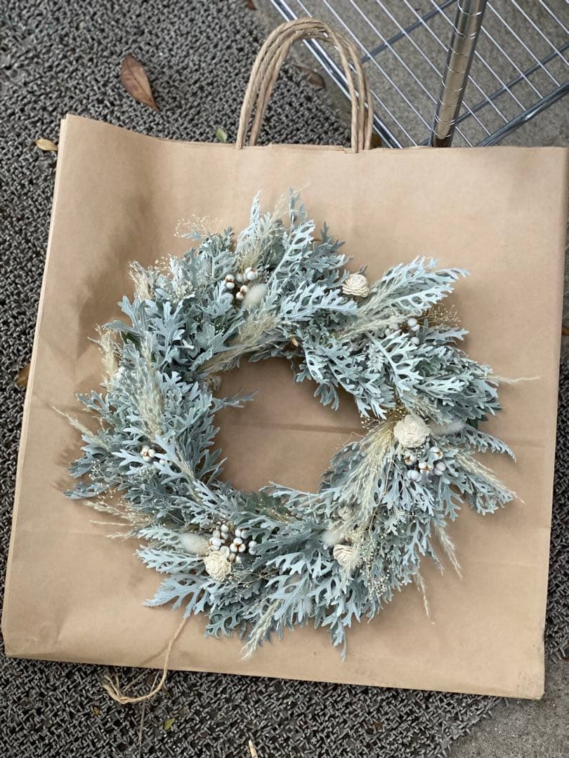 40cmシロタエギクのリース（ドライフラワー）