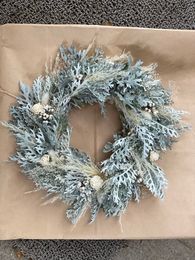 40cmシロタエギクのリース（ドライフラワー）