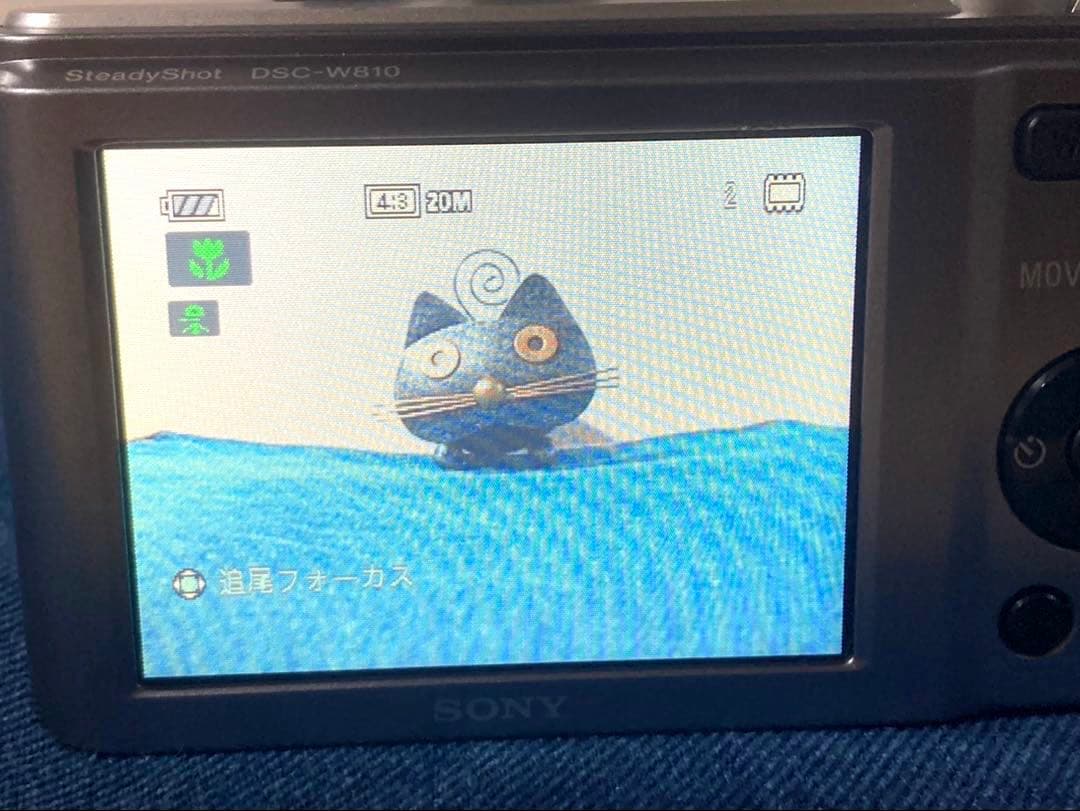 【動作確認済】SONY Cyber-shot DSC-W810
