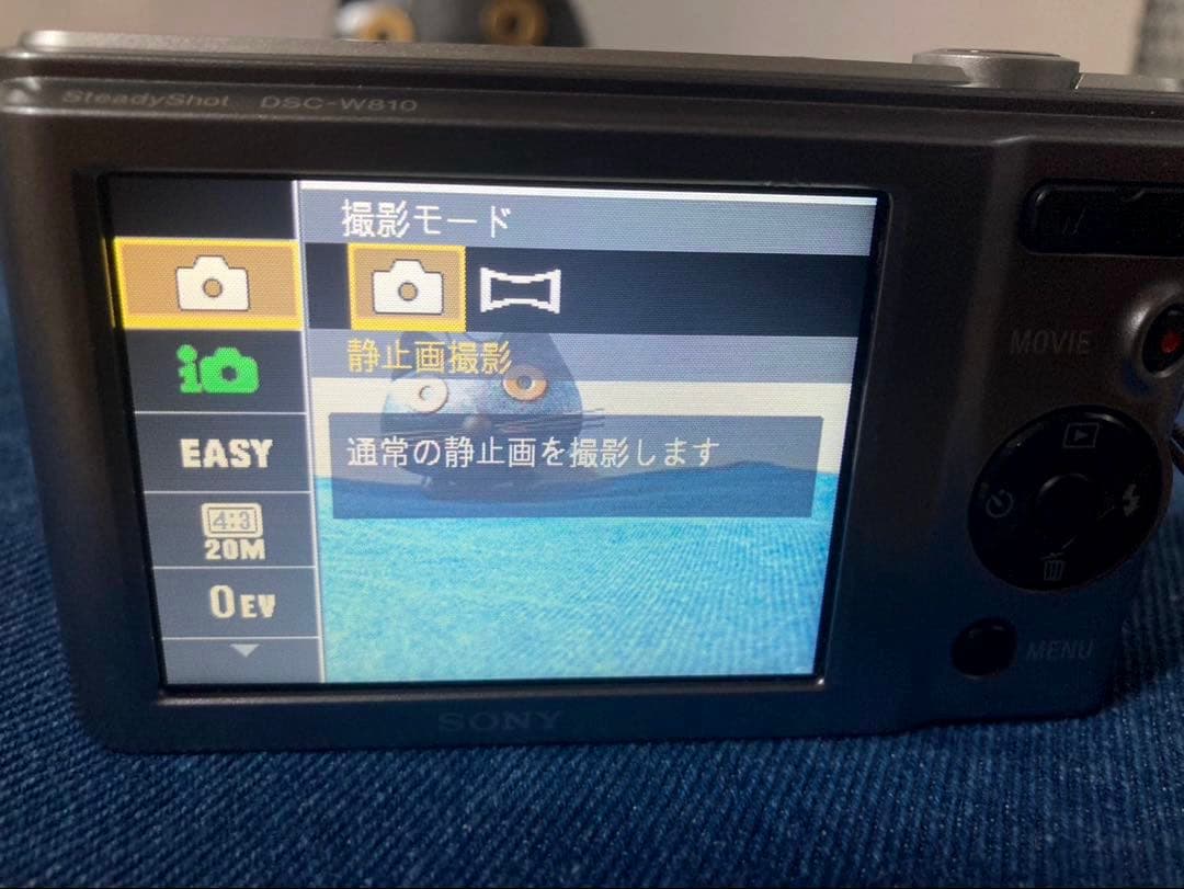 【動作確認済】SONY Cyber-shot DSC-W810