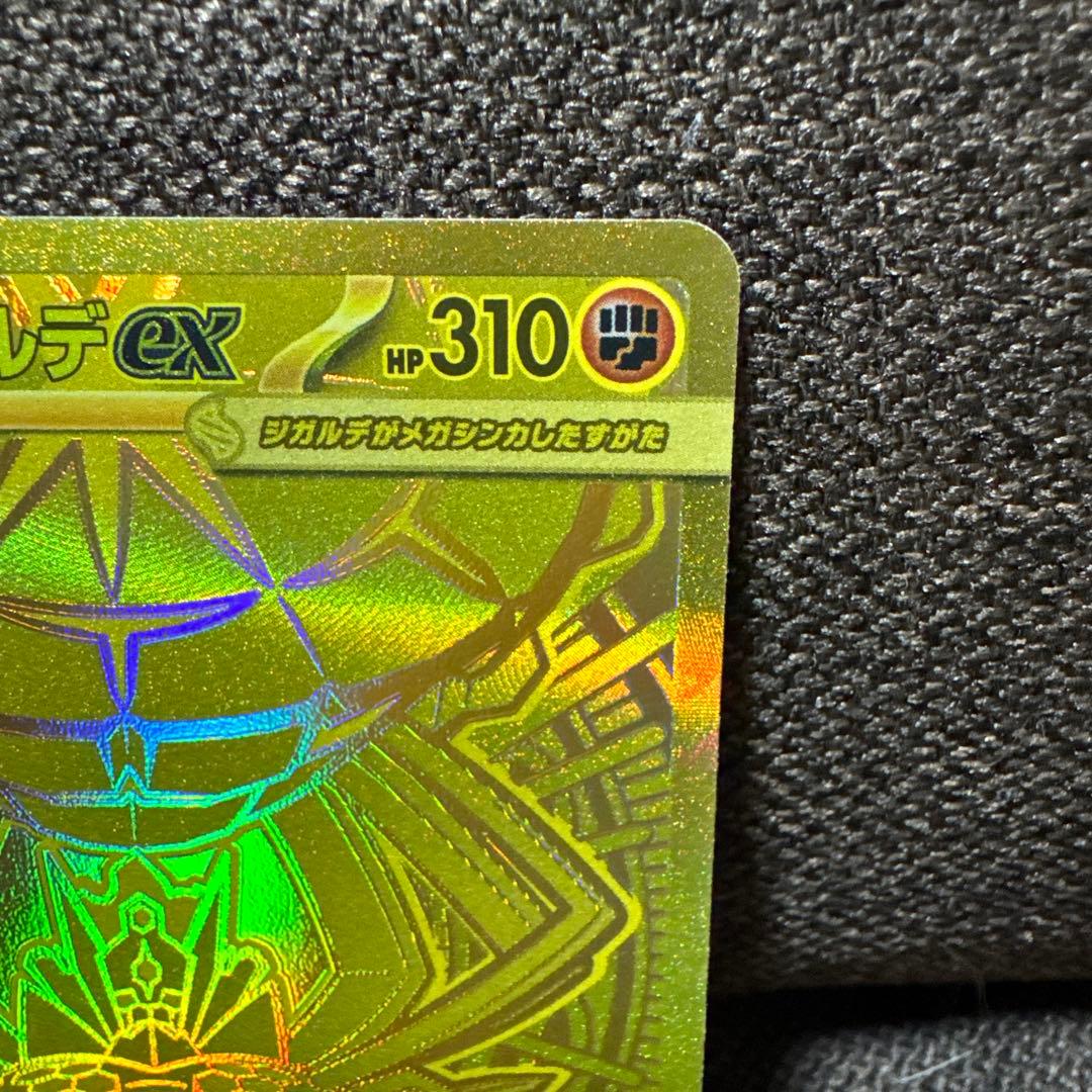 メガジガルデex mur&sarセット