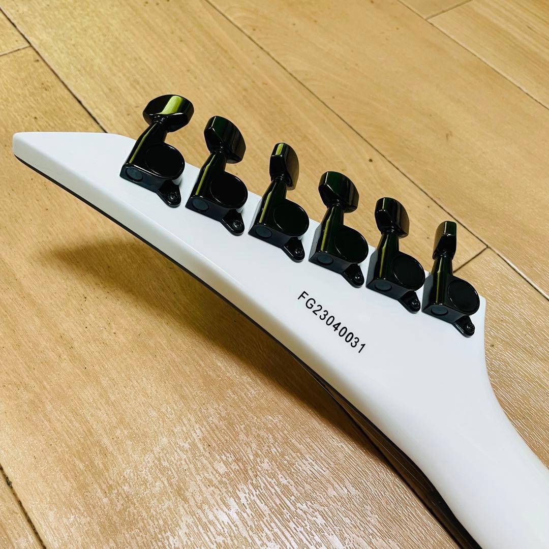 FERNANDES TEJ-STD フェルナンデス　ギグバック付