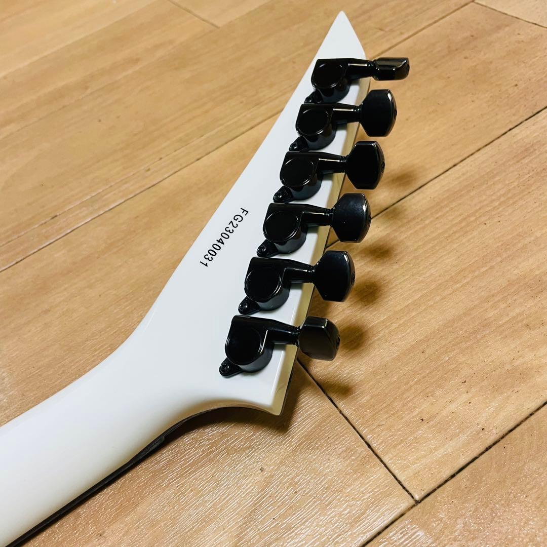 FERNANDES TEJ-STD フェルナンデス　ギグバック付