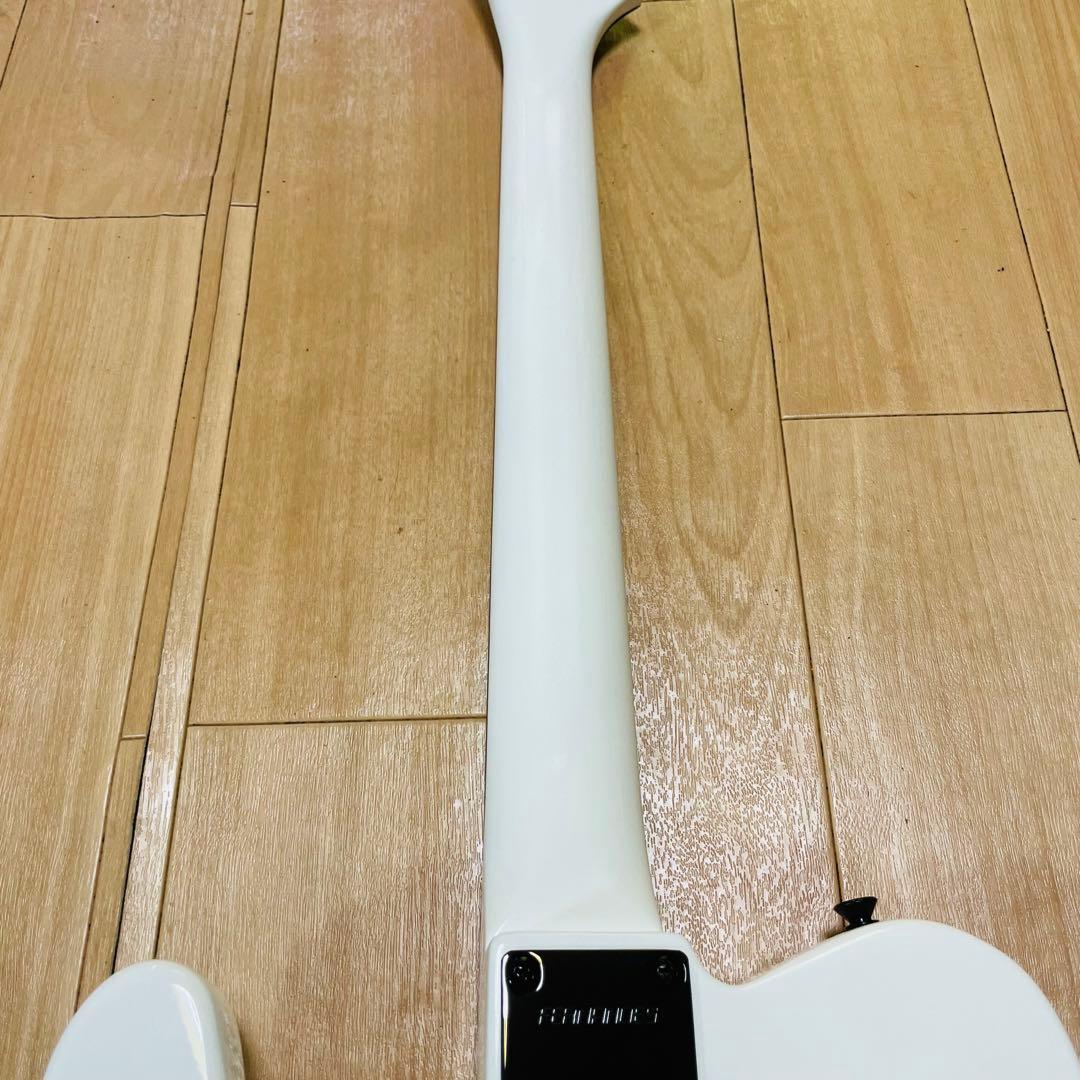 FERNANDES TEJ-STD フェルナンデス　ギグバック付