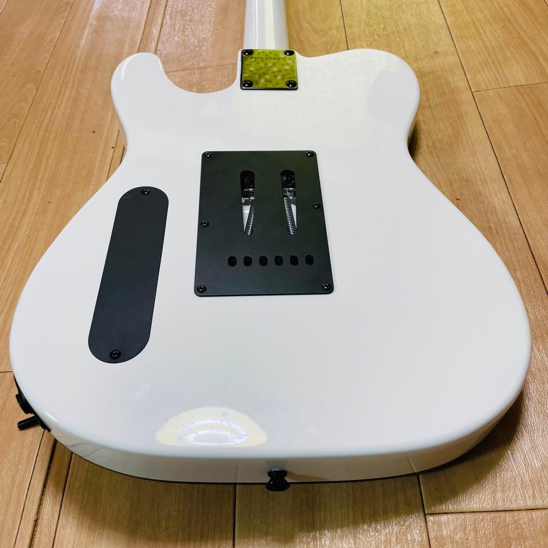 FERNANDES TEJ-STD フェルナンデス　ギグバック付