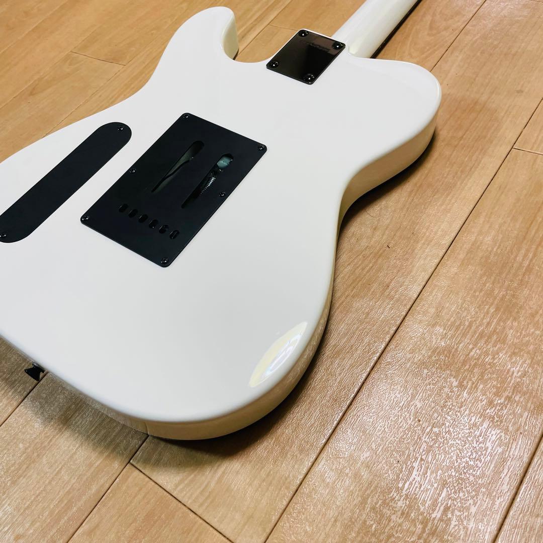 FERNANDES TEJ-STD フェルナンデス　ギグバック付