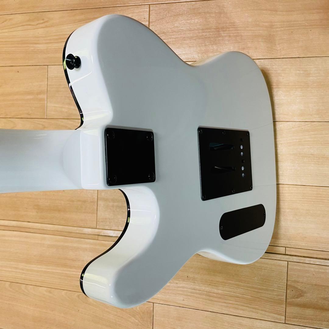 FERNANDES TEJ-STD フェルナンデス　ギグバック付