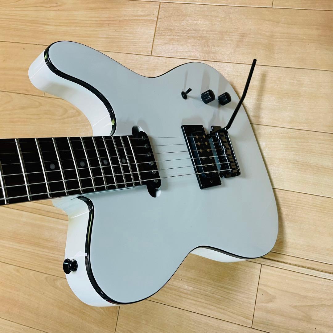 FERNANDES TEJ-STD フェルナンデス　ギグバック付