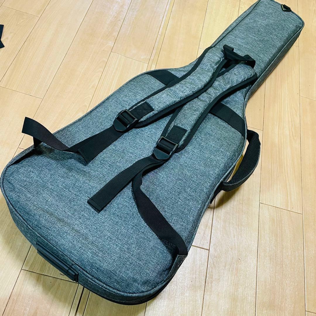 FERNANDES TEJ-STD フェルナンデス　ギグバック付