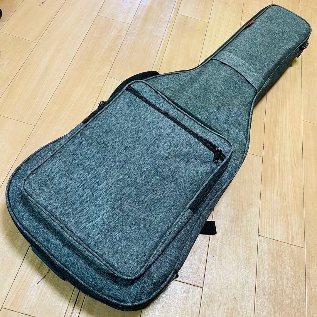 FERNANDES TEJ-STD フェルナンデス　ギグバック付