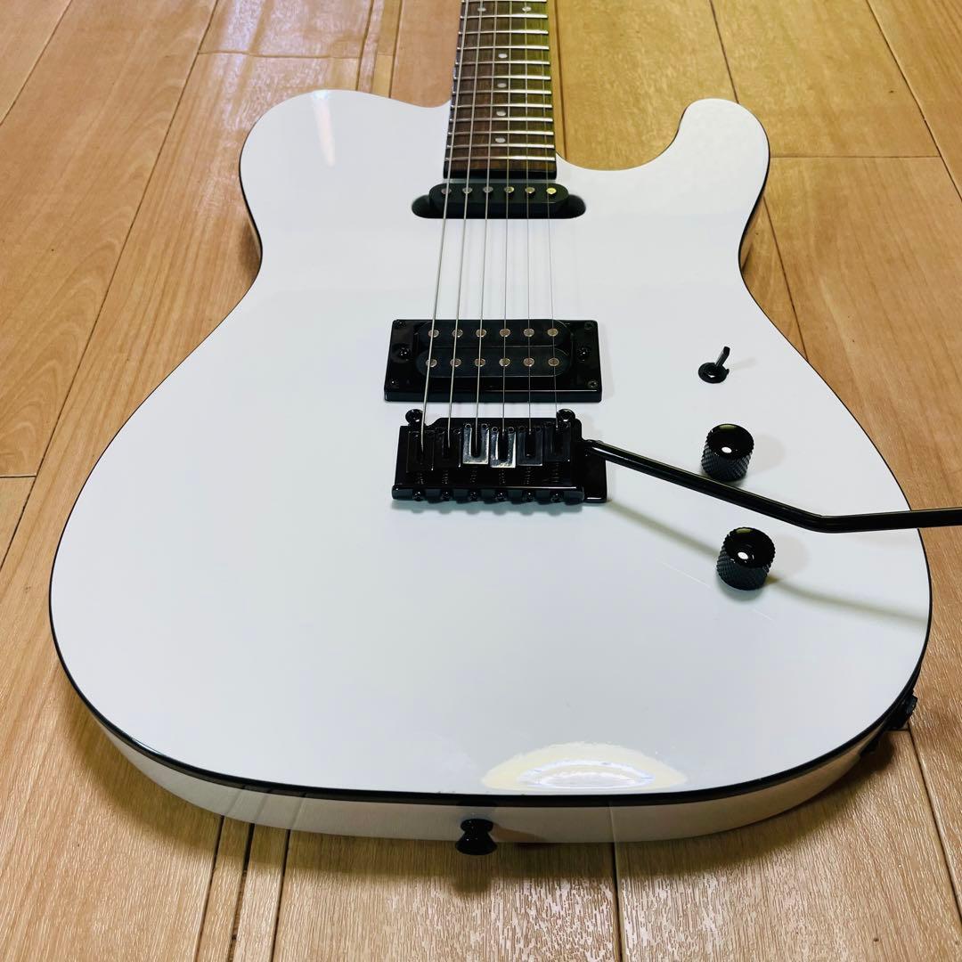 FERNANDES TEJ-STD フェルナンデス　ギグバック付