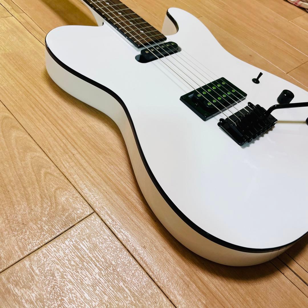 FERNANDES TEJ-STD フェルナンデス　ギグバック付