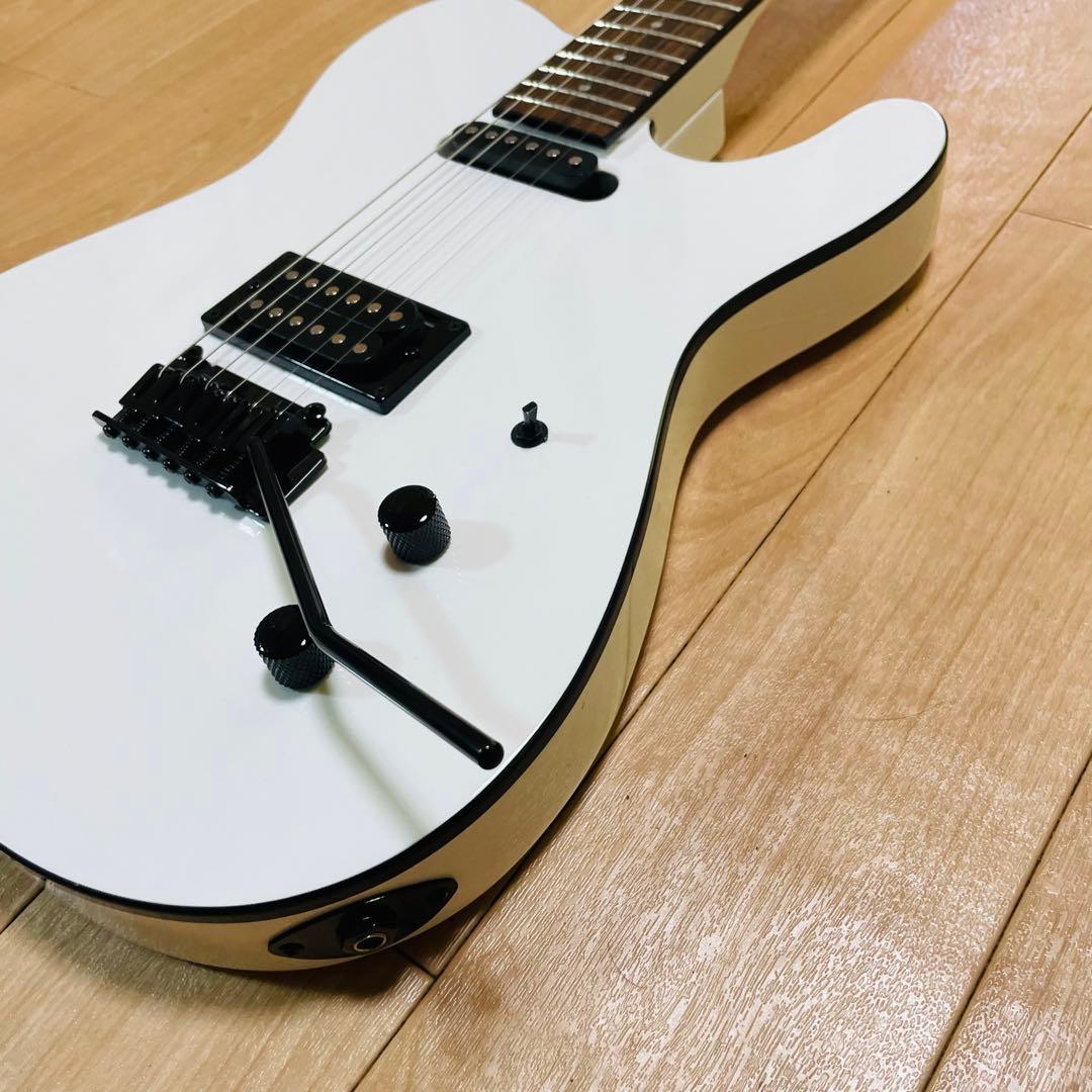 FERNANDES TEJ-STD フェルナンデス　ギグバック付