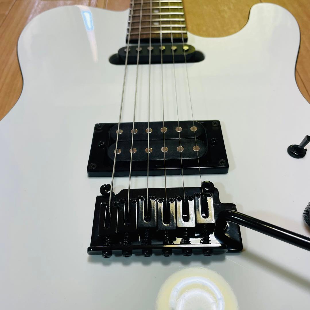 FERNANDES TEJ-STD フェルナンデス　ギグバック付