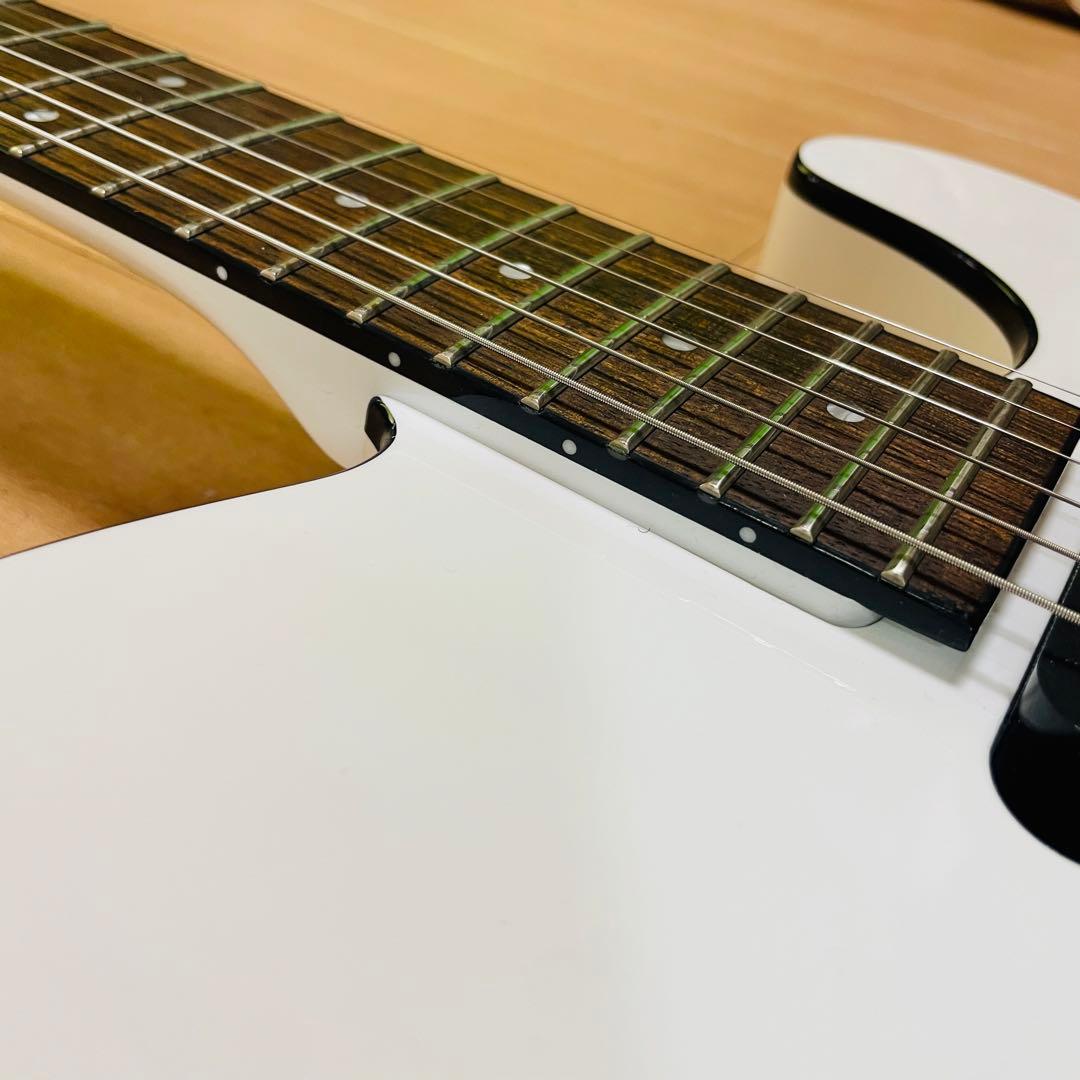 FERNANDES TEJ-STD フェルナンデス　ギグバック付