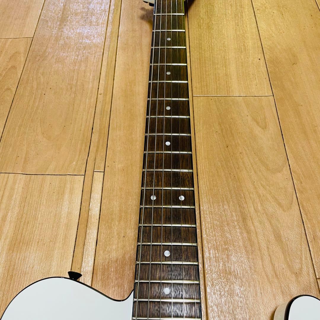 FERNANDES TEJ-STD フェルナンデス　ギグバック付