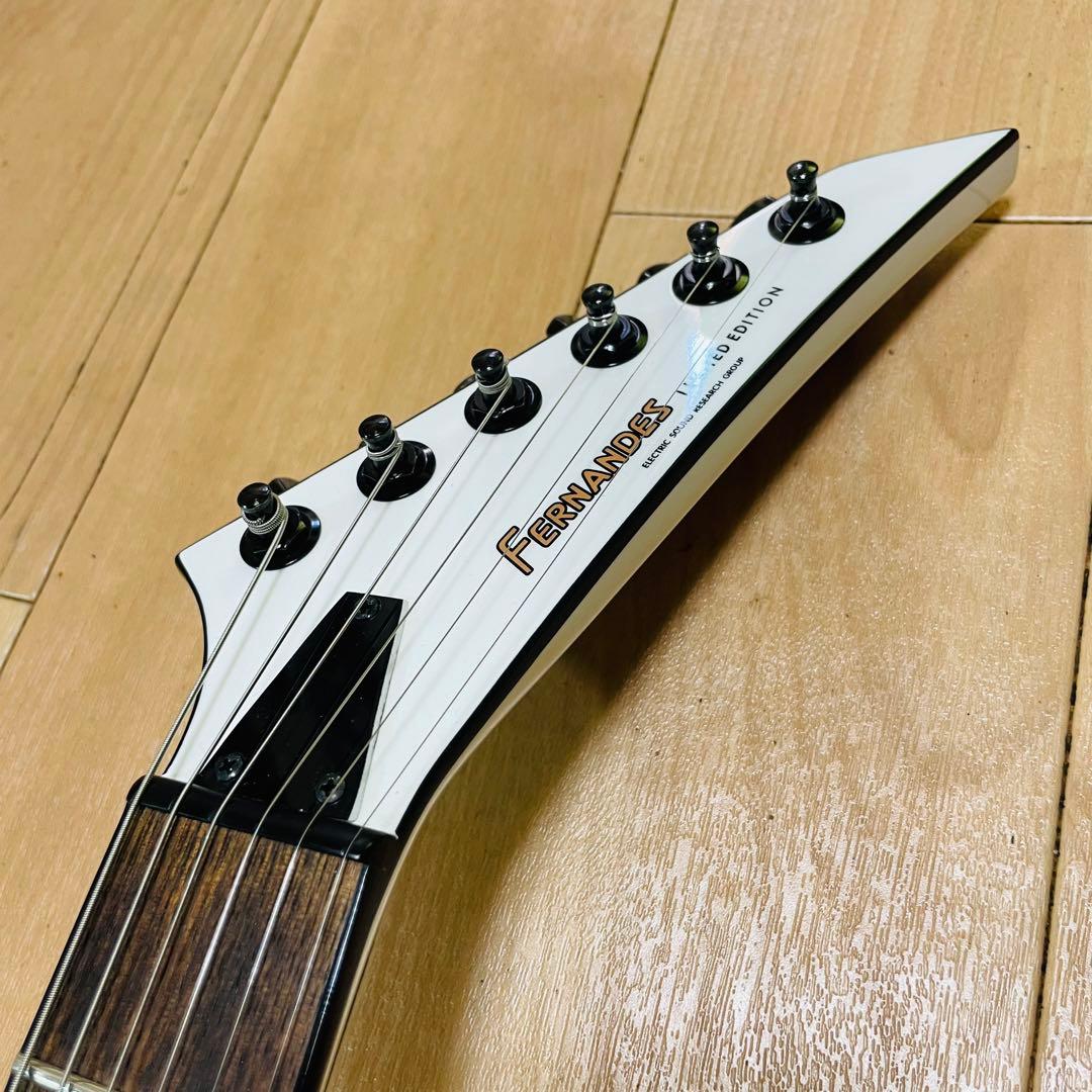 FERNANDES TEJ-STD フェルナンデス　ギグバック付