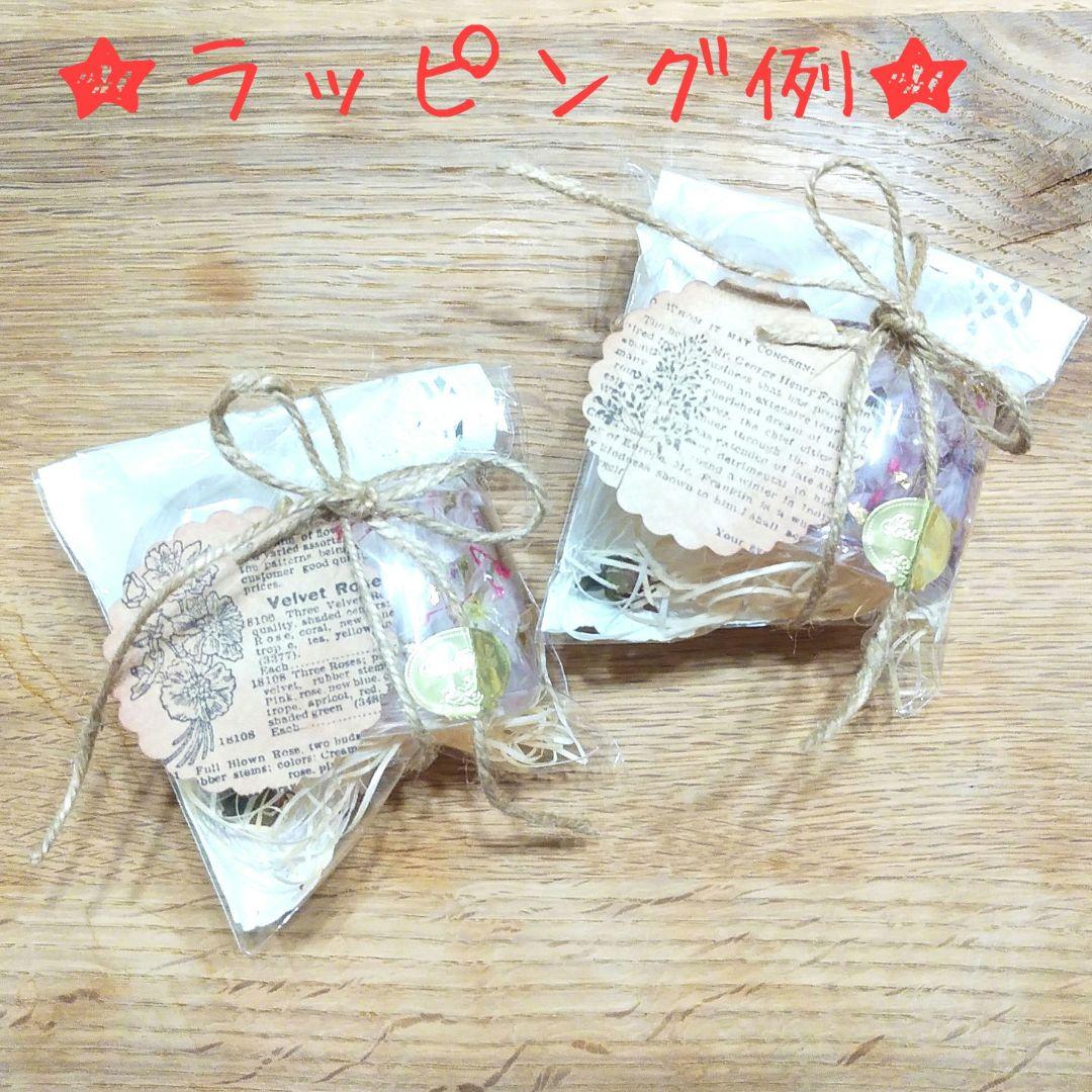 NO.687 アクアリウム✨金魚⑧固まるハーバリウムペン立て