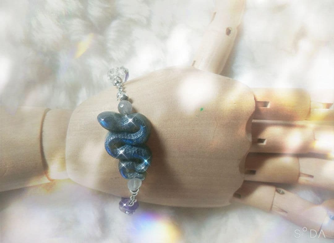 巳年愛もお金も全部私のもの！/蛇神様に愛されるのは私だけ