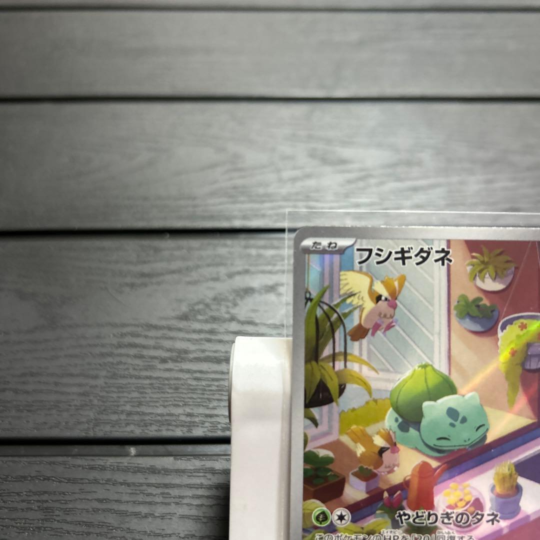 ポケモンカード　御三家　プロモ