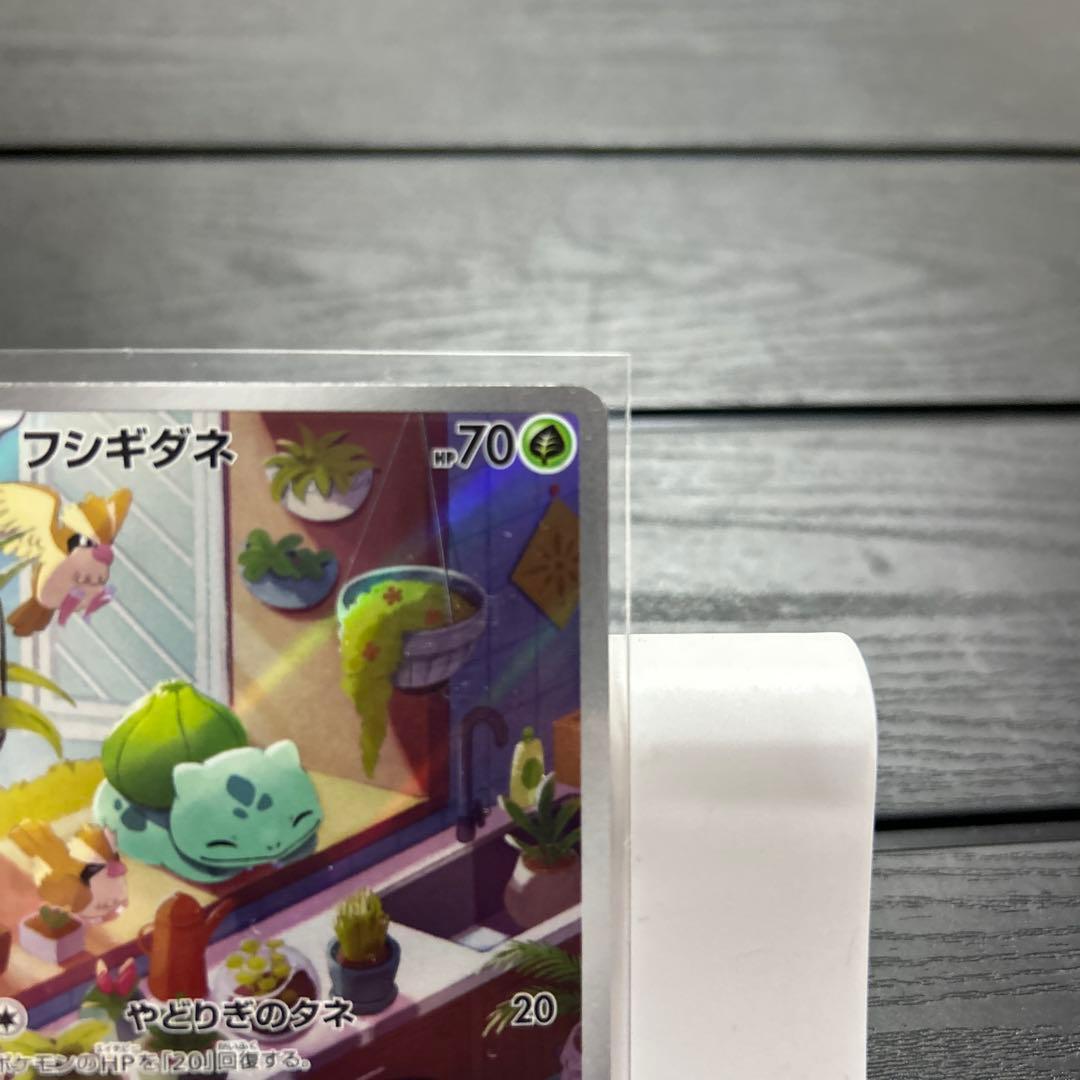 ポケモンカード　御三家　プロモ