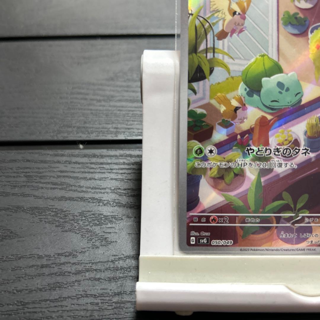 ポケモンカード　御三家　プロモ