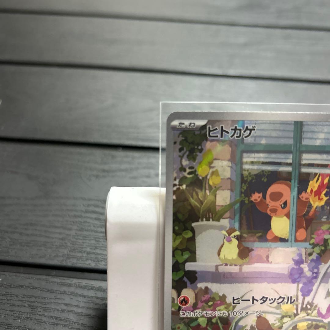 ポケモンカード　御三家　プロモ