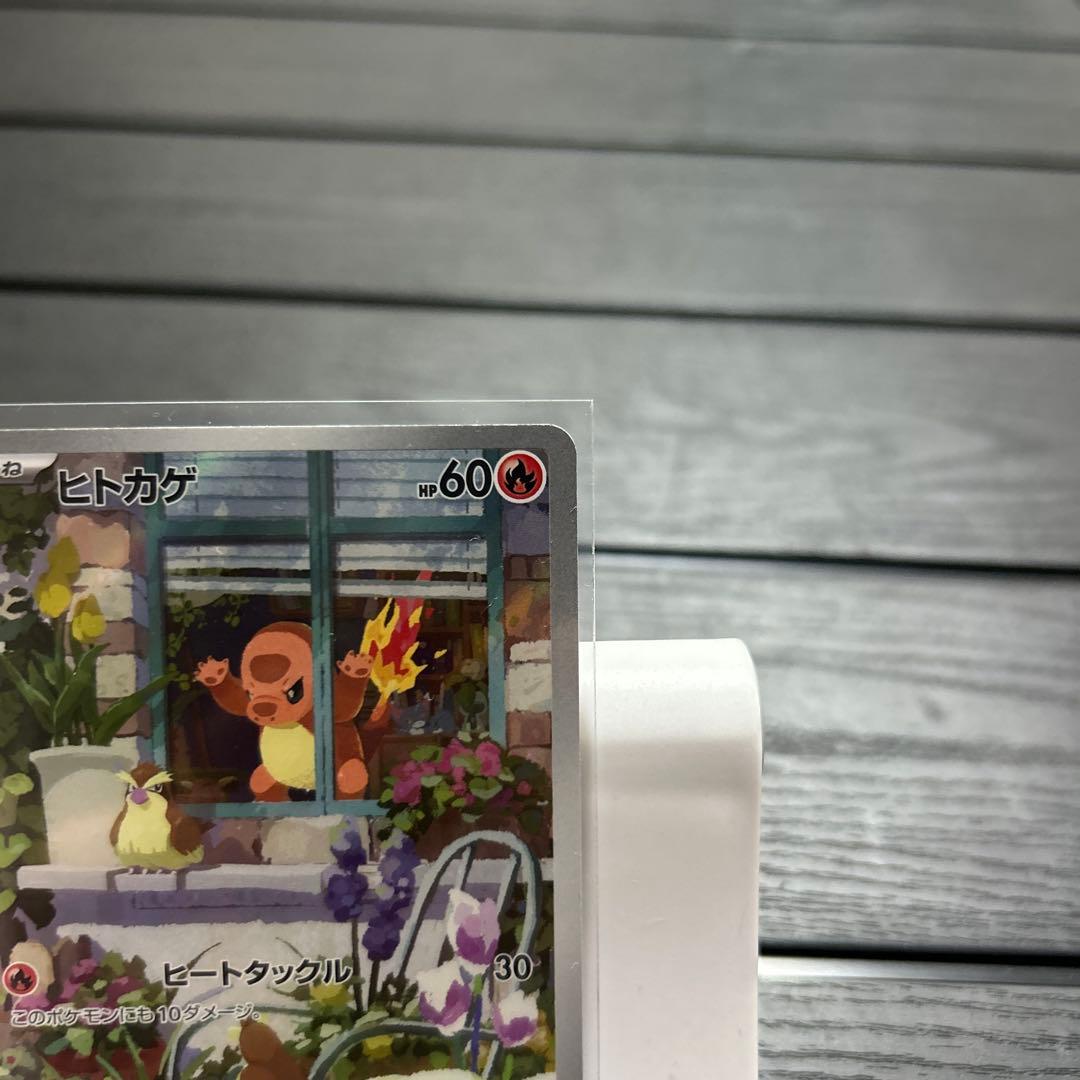 ポケモンカード　御三家　プロモ