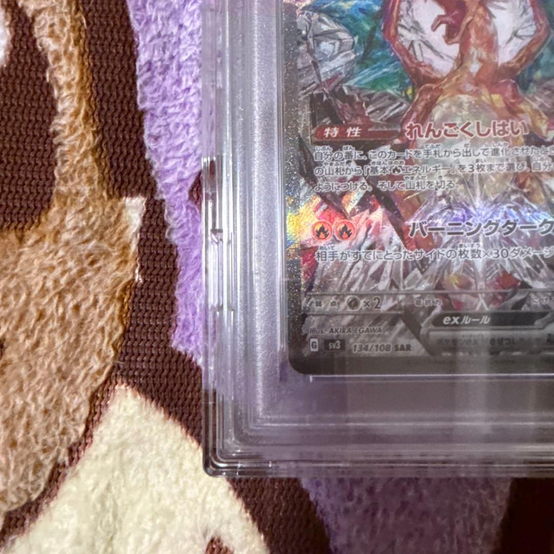 [ポケモン愛好家]