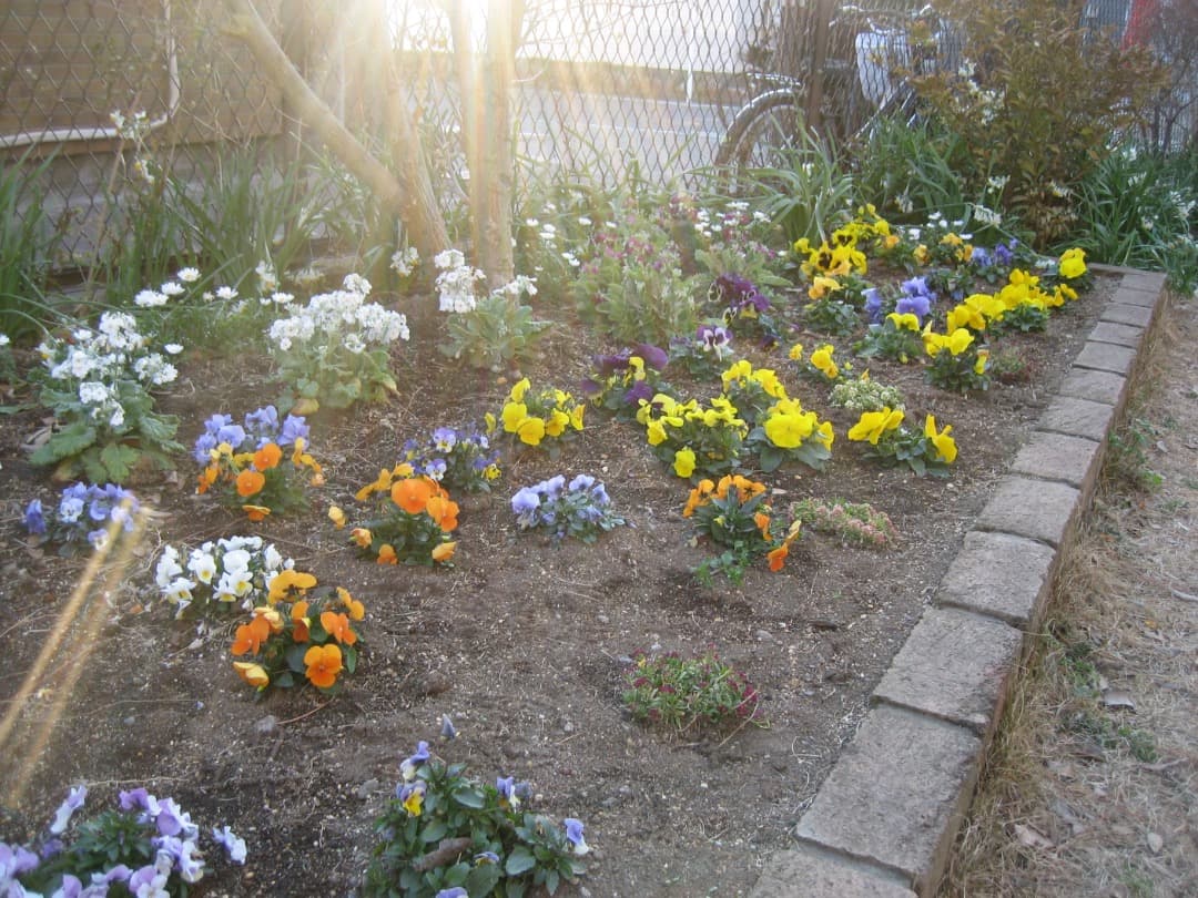 実写美⭕️【動作確認済】Canon　IXY　DIGITAL 70 PC1193