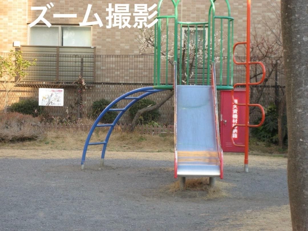 実写美⭕️【動作確認済】Canon　IXY　DIGITAL 70 PC1193