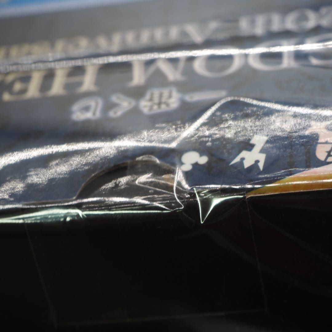 1番くじ　キングダムハーツ　20th Anniversary ソラ＆カイリセット