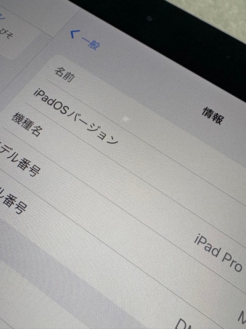 【即日発送可】iPad Pro(A1709)64GB