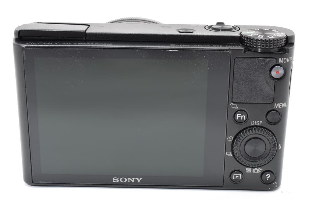 SONY DSC-RX100 初代 2065