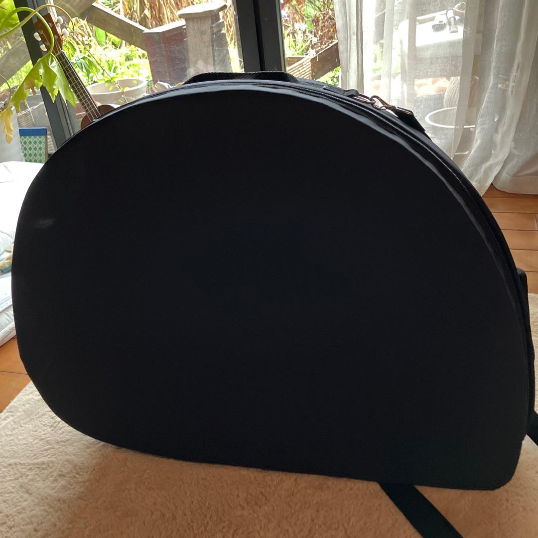 【美品】ライアーのバッグ　ケース　ショルダーと背中に背負えるようになっています