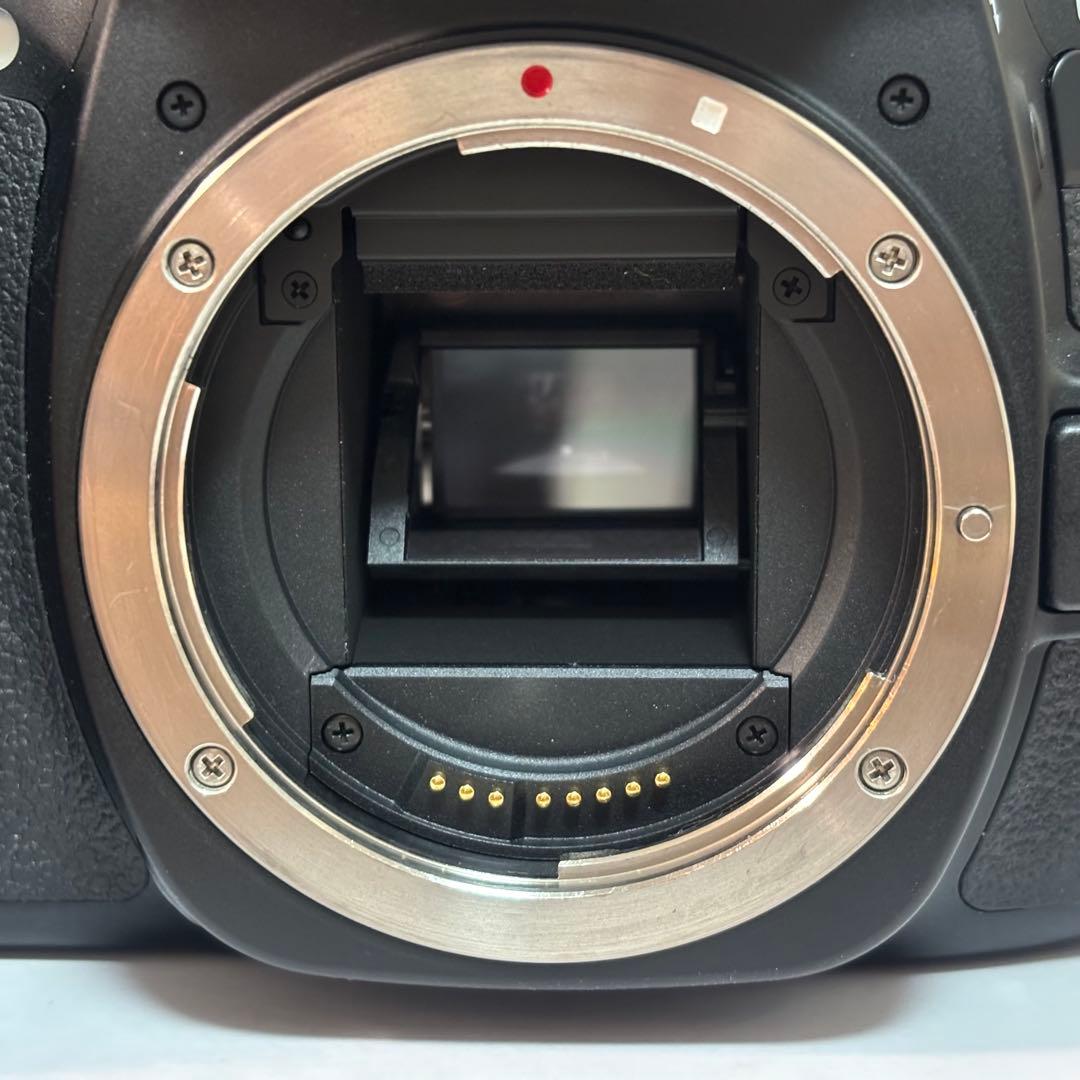 【極上美品】Canon EOS 80D 元箱付き シャッター12,589枚