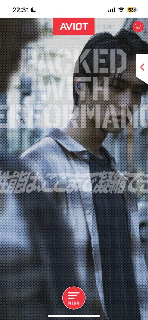 AVIOT TE-A1 ワイヤレスイヤホンブラック