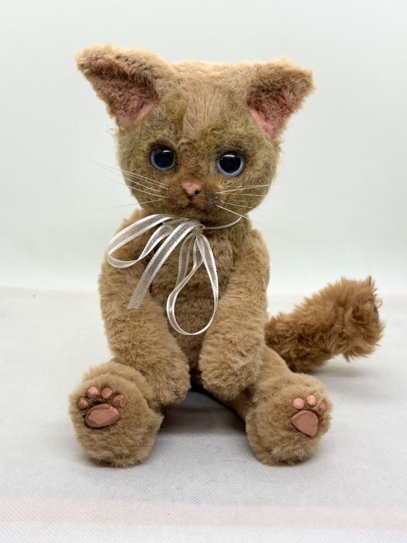 A猫 オバサン出品3.11