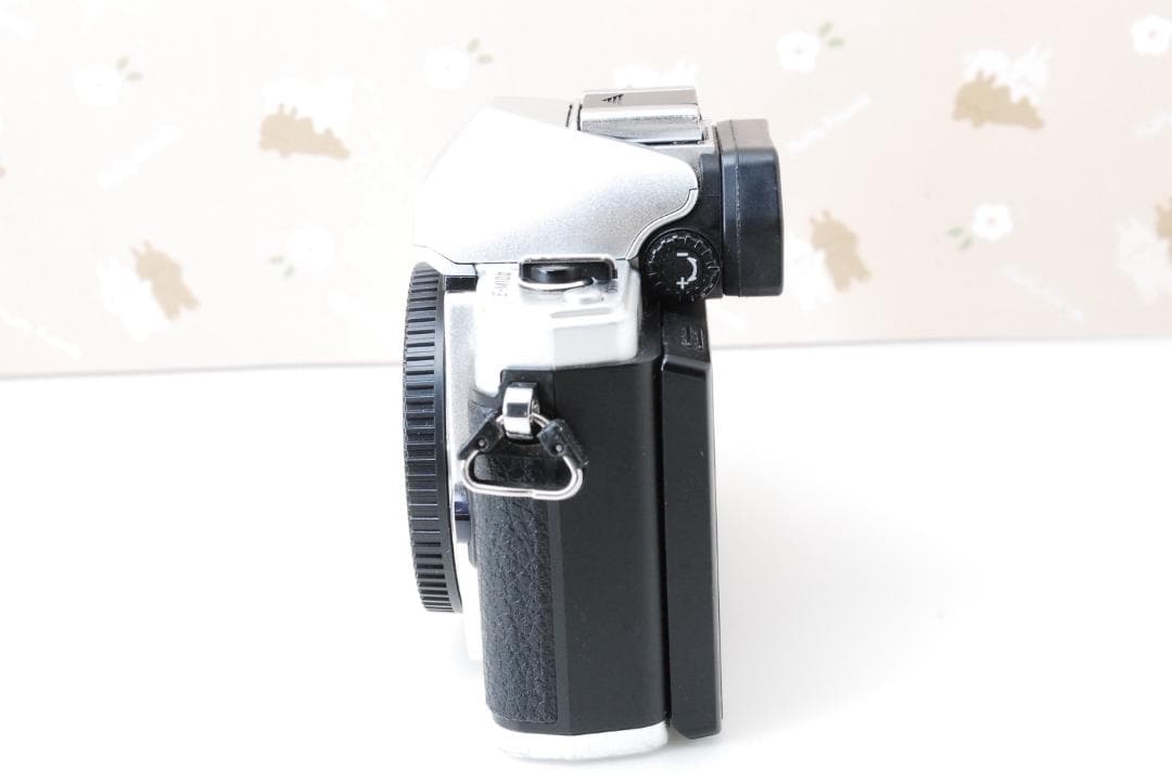 美品❤️Wi-Fi❤️オリンパス OM-D E-M10 MarkII❤人気ミラーレス