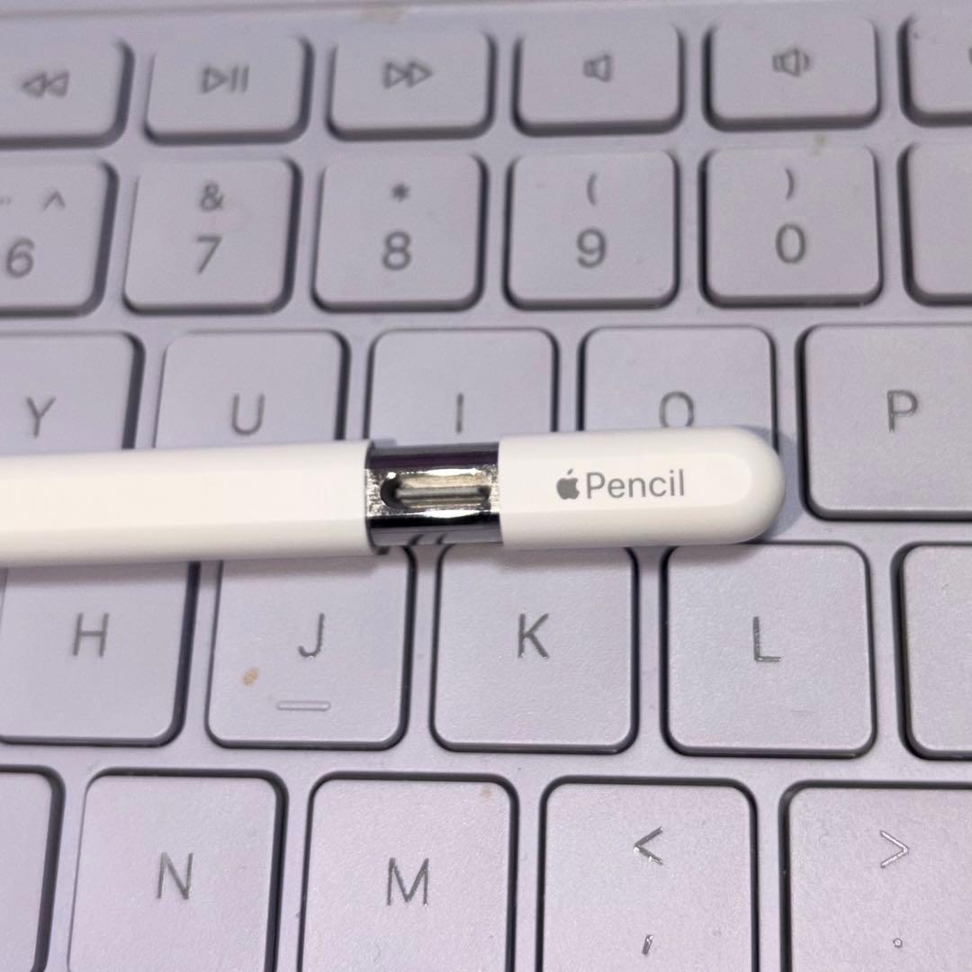 iPadアクセサリー Apple Pencil (USB-C) - Genuine,