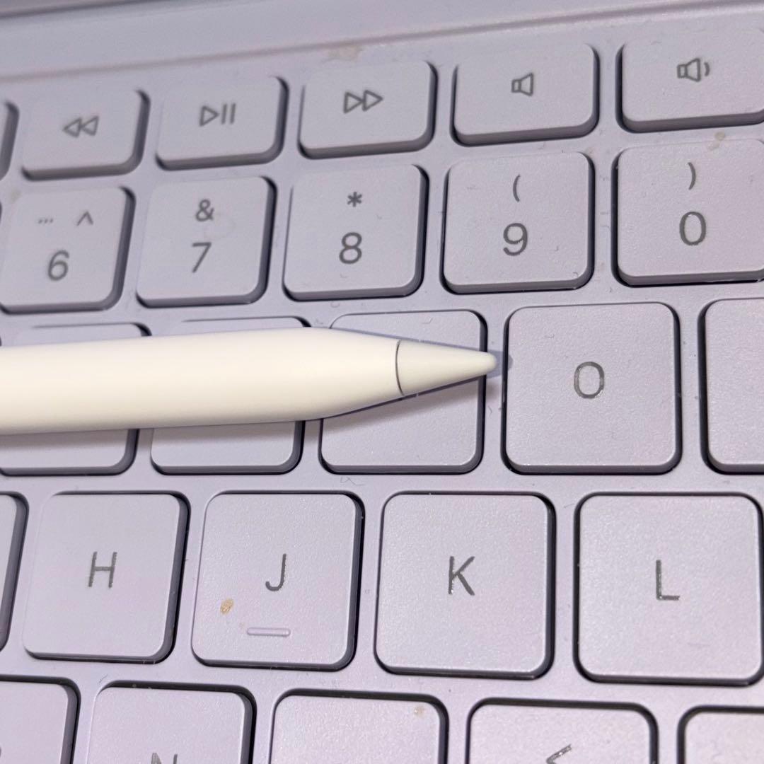 iPadアクセサリー Apple Pencil (USB-C) - Genuine,