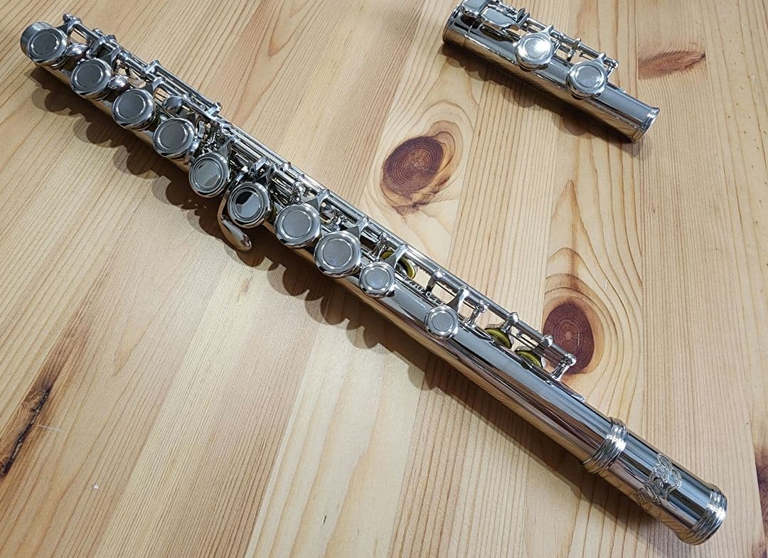 【美品】Eastar フルート Eメカニズム付 ハードケース付き管楽器