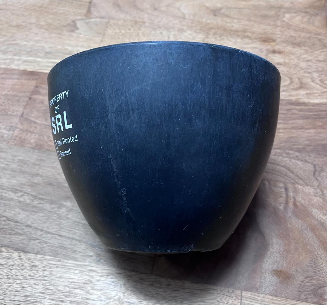 SRL NEIGHBORHOOD 植木鉢 プラ鉢 鉢 M ネイバーフッド