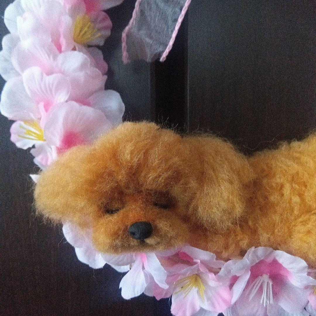 羊毛フェルト　トイプードル　桜のリース　Ange