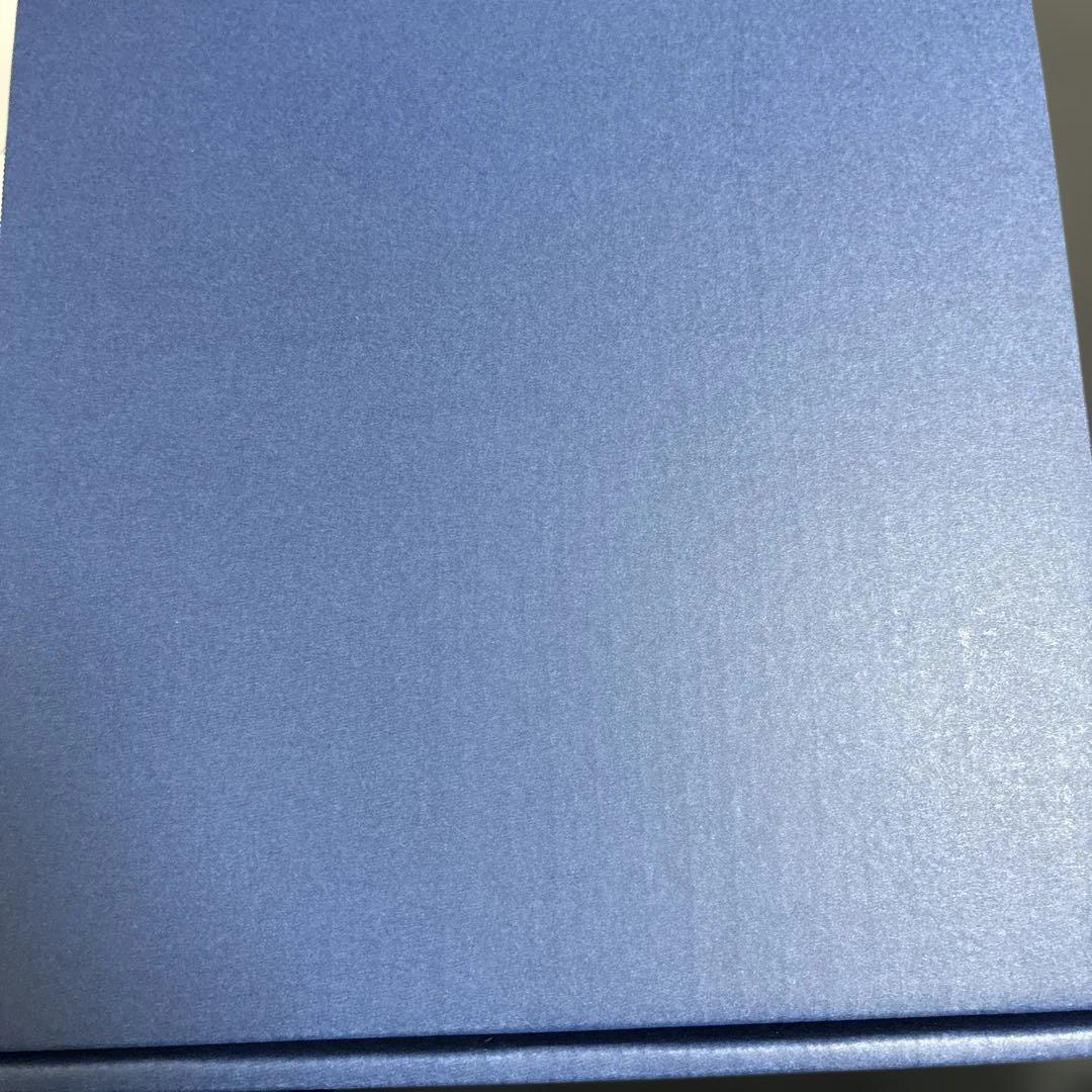 未使用　ポケモンZA Amazon250名抽選プレート