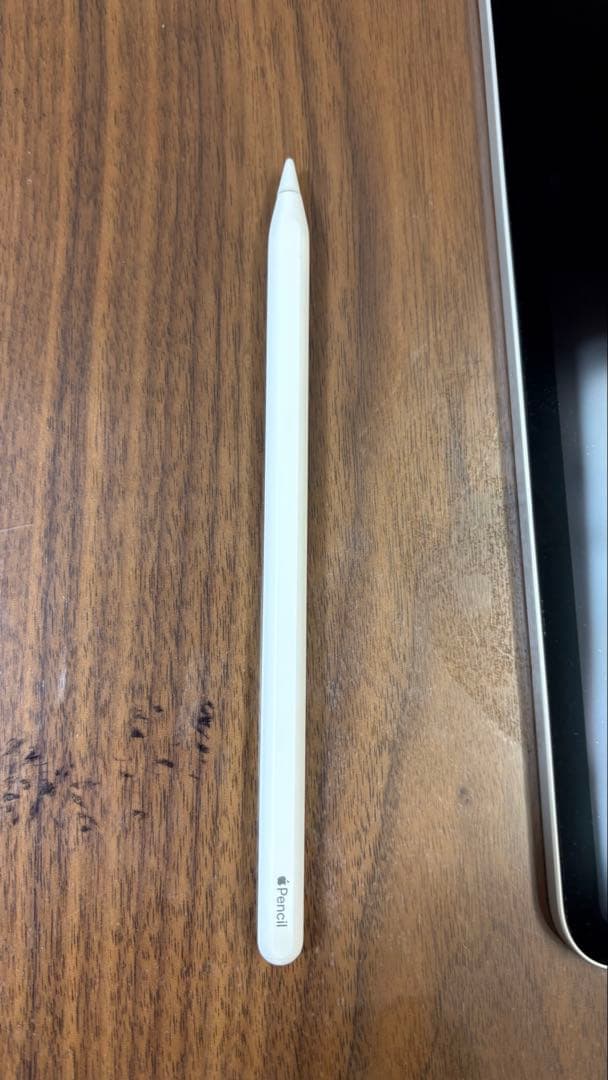 iPadPro11インチ第2世代&Apple Pencil (第2世代) セット