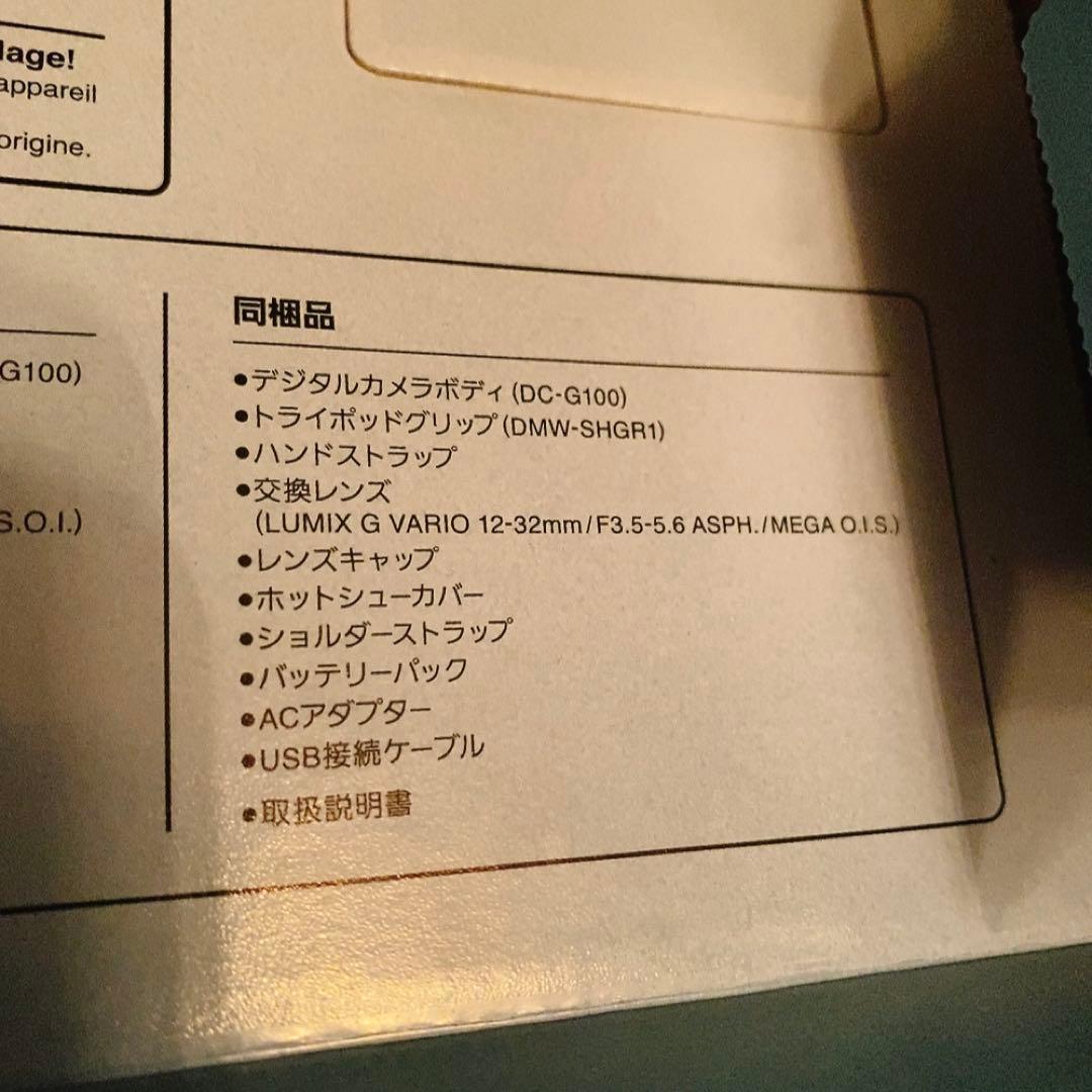 TAKEYAMA　LUMIX DC-G100V