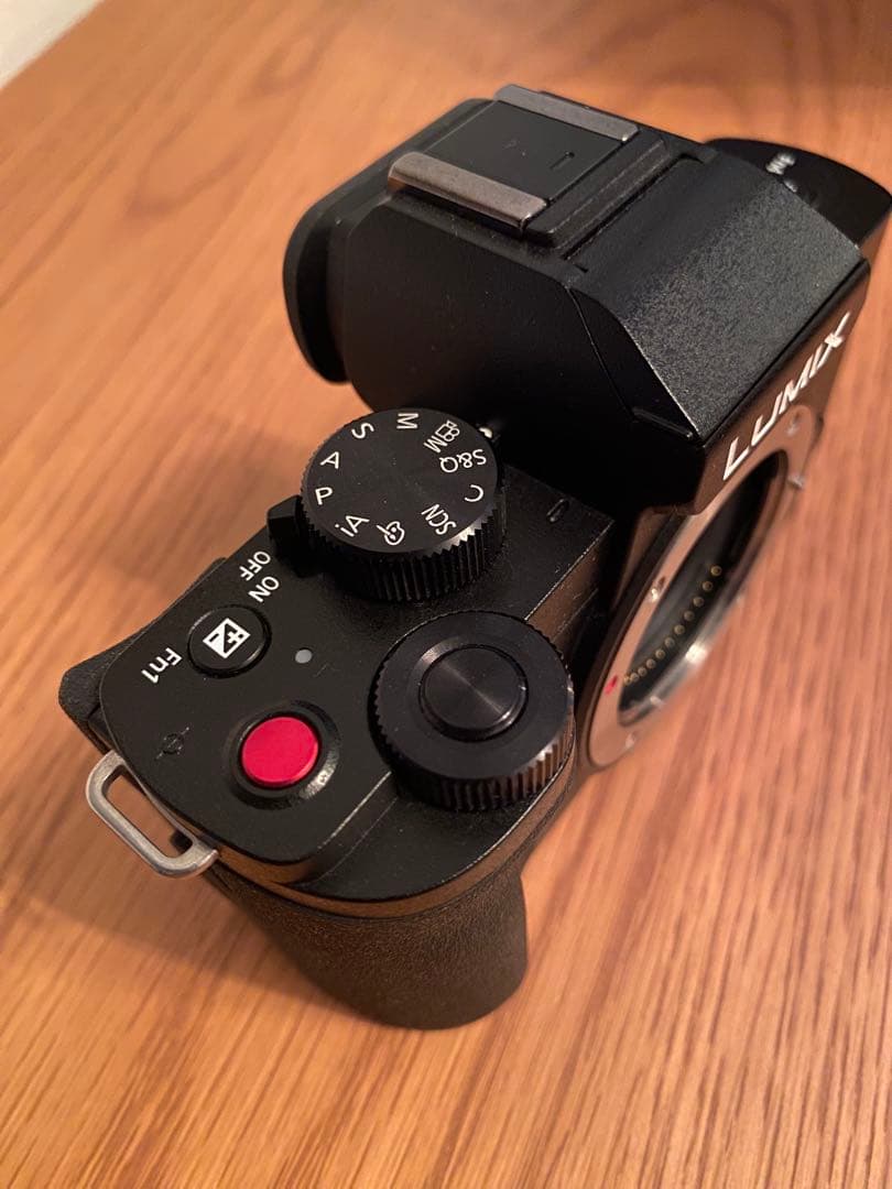 TAKEYAMA　LUMIX DC-G100V